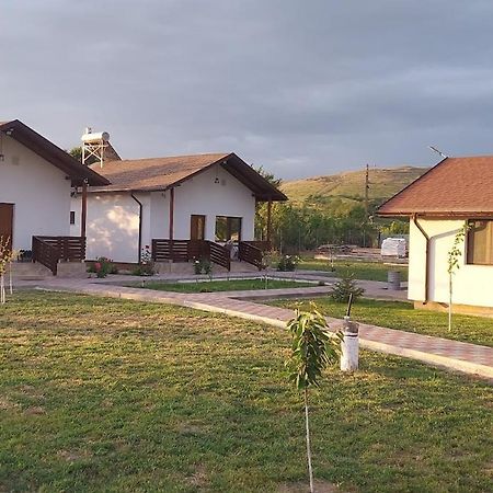 Zander House Peceneaga Экстерьер фото