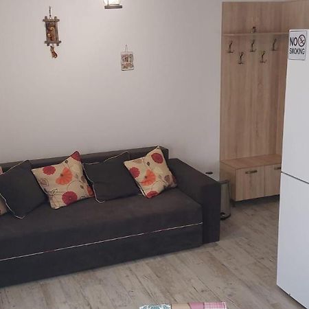 Zander House Peceneaga Экстерьер фото