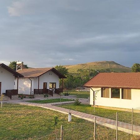 Zander House Peceneaga Экстерьер фото