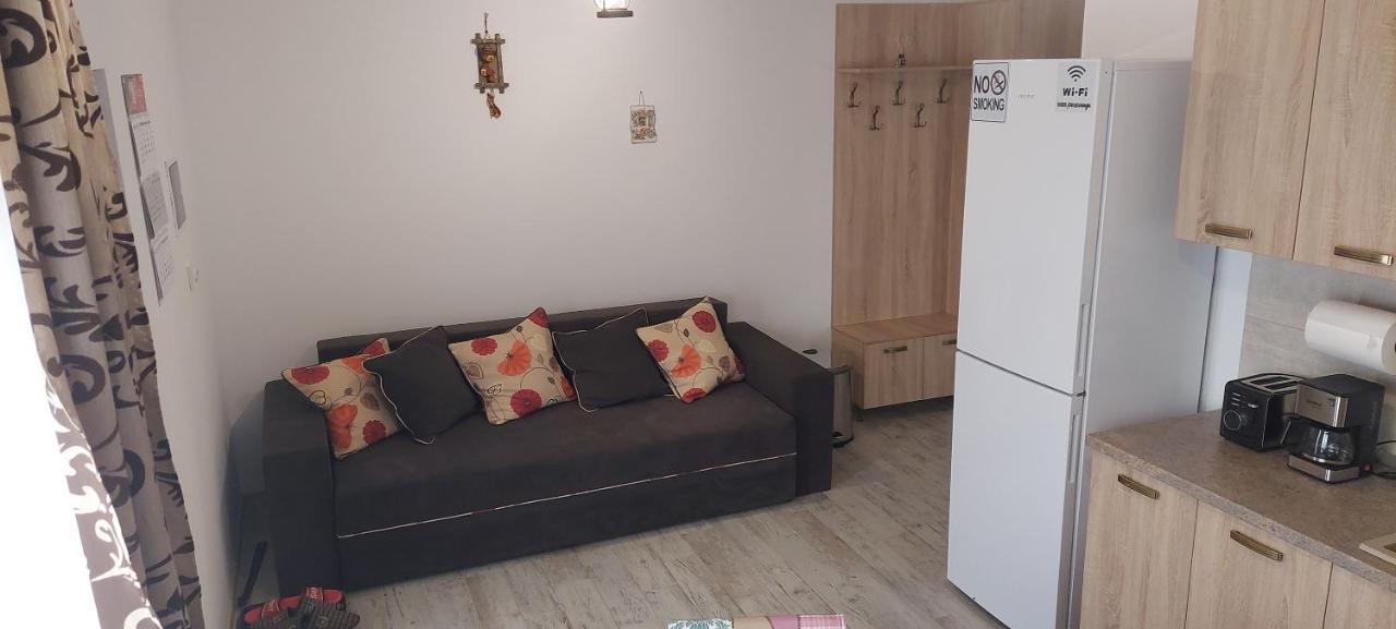 Zander House Peceneaga Экстерьер фото